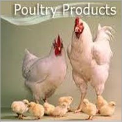 Poultry Feed Poultry Feed